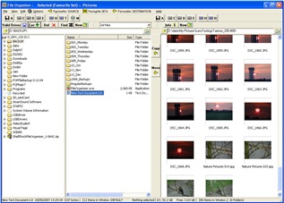 fileorganiser