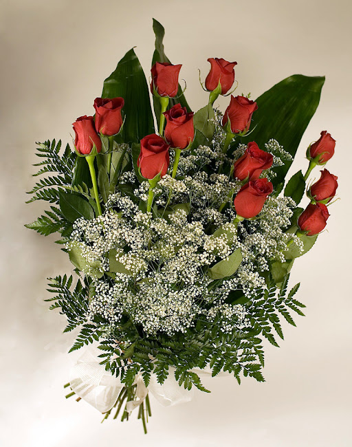 rosas10.jpg