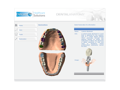 Dental Anatomy