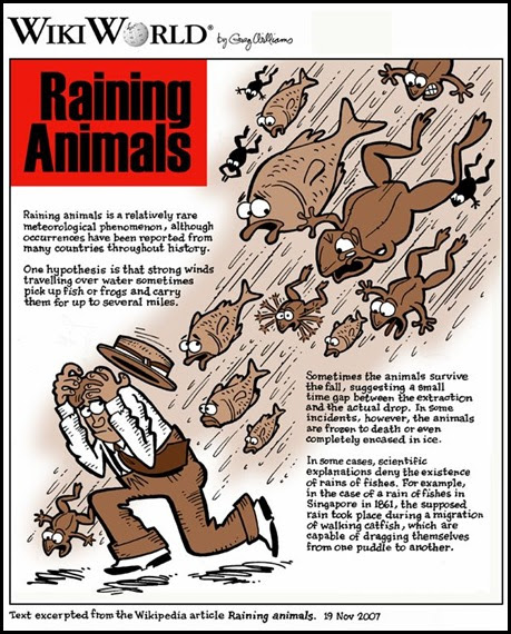 ka ea s window twenty-one It s raining fish and frogs 
