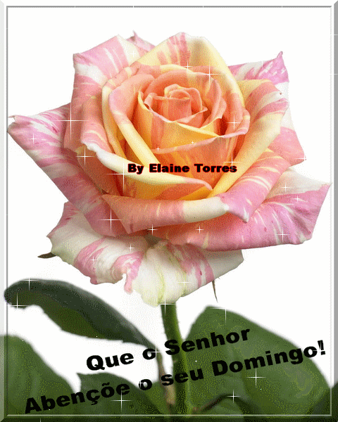 Recado Para Orkut - Amor: 1