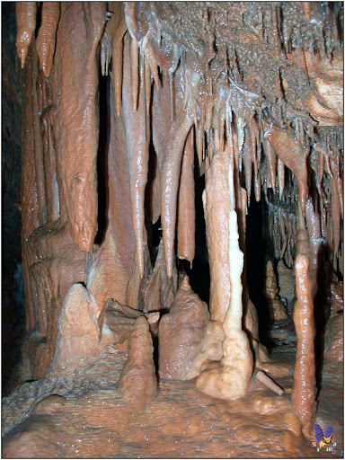 Bogovina018.jpg