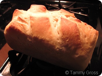 Tamdoll Bakes Bread