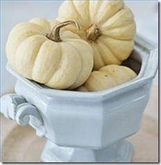 decorate-fall-white-pumpkins-200X200
