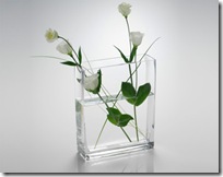 vase design rectangulaire