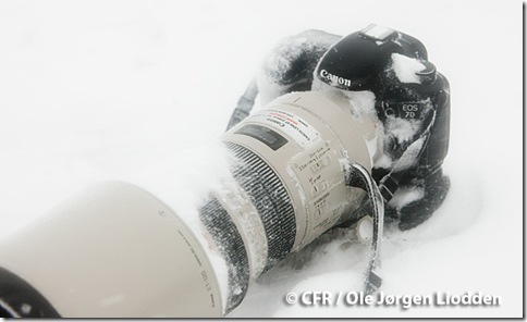 Canon 7D Snow Blizzard