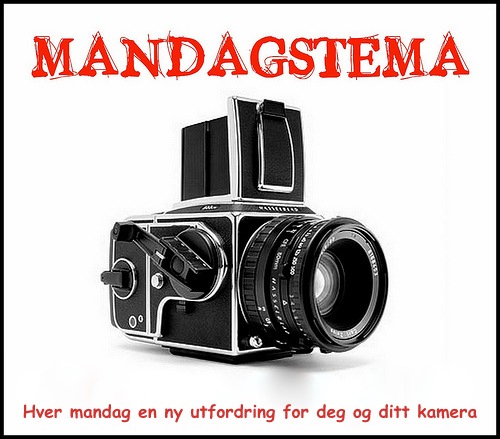 [Mandagstemanylogo5.jpg]