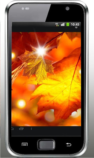 Autumn Free HD live wallpaper