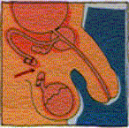 clip_image038