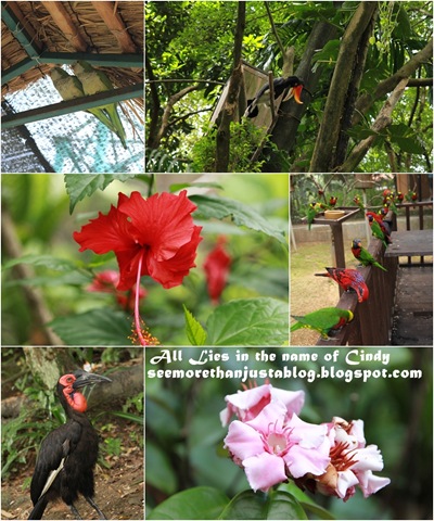 [Bird Parkpage3-20101113[3].jpg.webp]