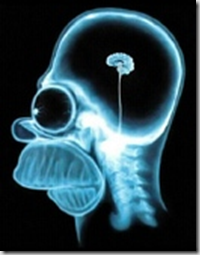 Cérebro do Homer Simpson