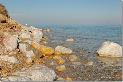 Dead Sea shore with salt crystals, tb010810100