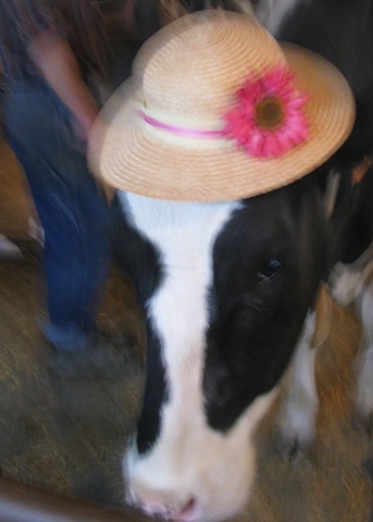 [easter bonnet cow[4].jpg]