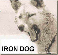 Iron Dog Logo 2