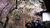 MX-TREBI_2008_2_24-12.jpg