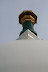 IMGP2467.jpg