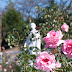 Voigtländer APO-LANTHAR 90mm F3.5 SL Close Focus
