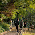 DA 70mm F2.4 Limited