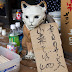 DA★16-50mmF2.8ED AL[IF]SDM