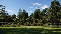 The Gardens - Mount Stewart