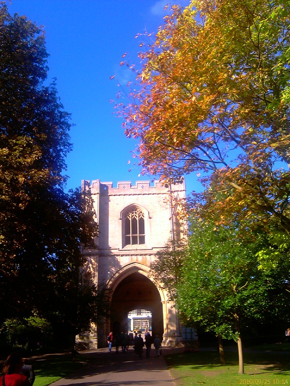 [AbbeyGardens23.jpg]