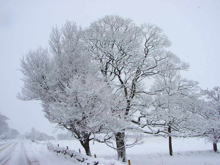 Snow%20616%20no%20cables%203.jpg
