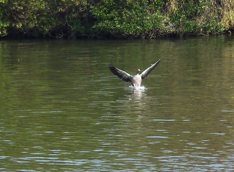 SplashDown%20511-3.jpg