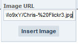 Chris-%20Flickr4.jpg