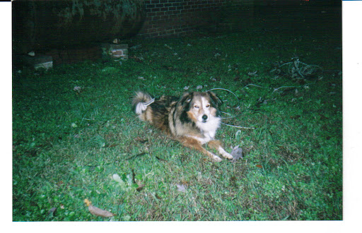 We love and miss Kayla 2003