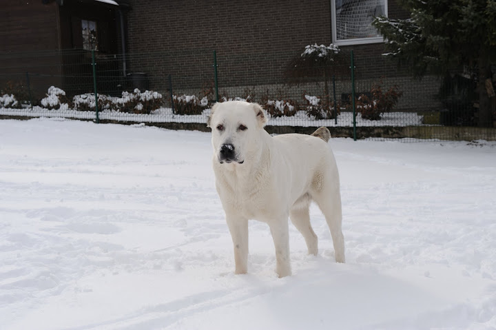 DSC_5846.JPG