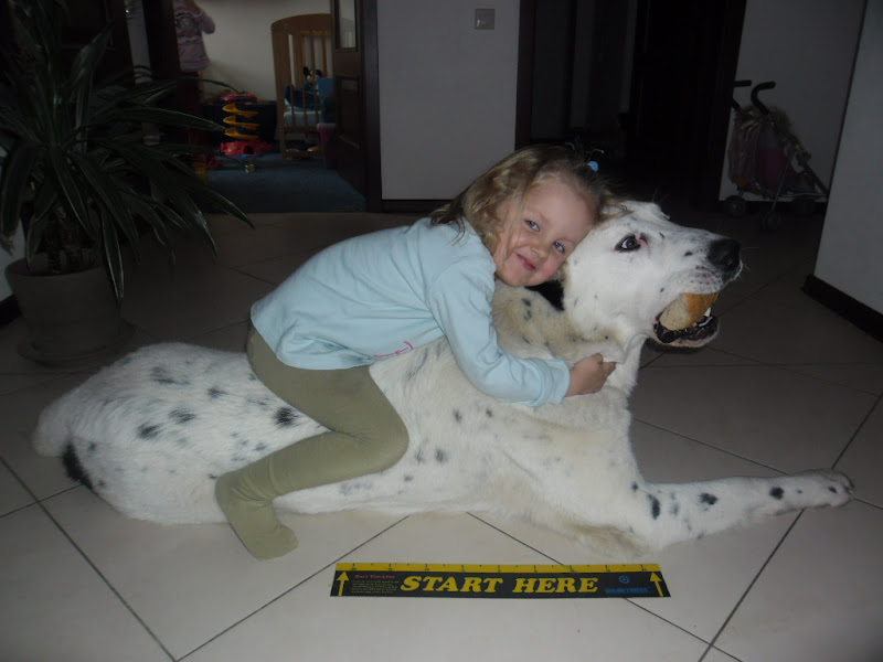 SAM_0252.JPG