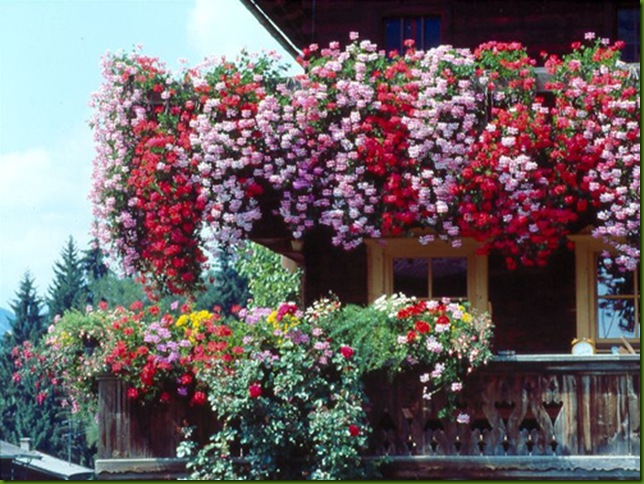 Balcón florido en Alpbach, Tirol, Austria