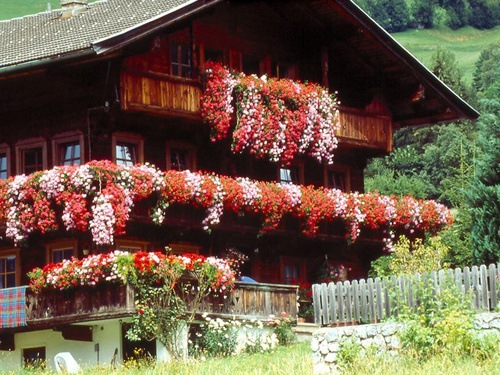 [Balcón florido en Alpbach, Tirol, Austria 2[3].jpg]