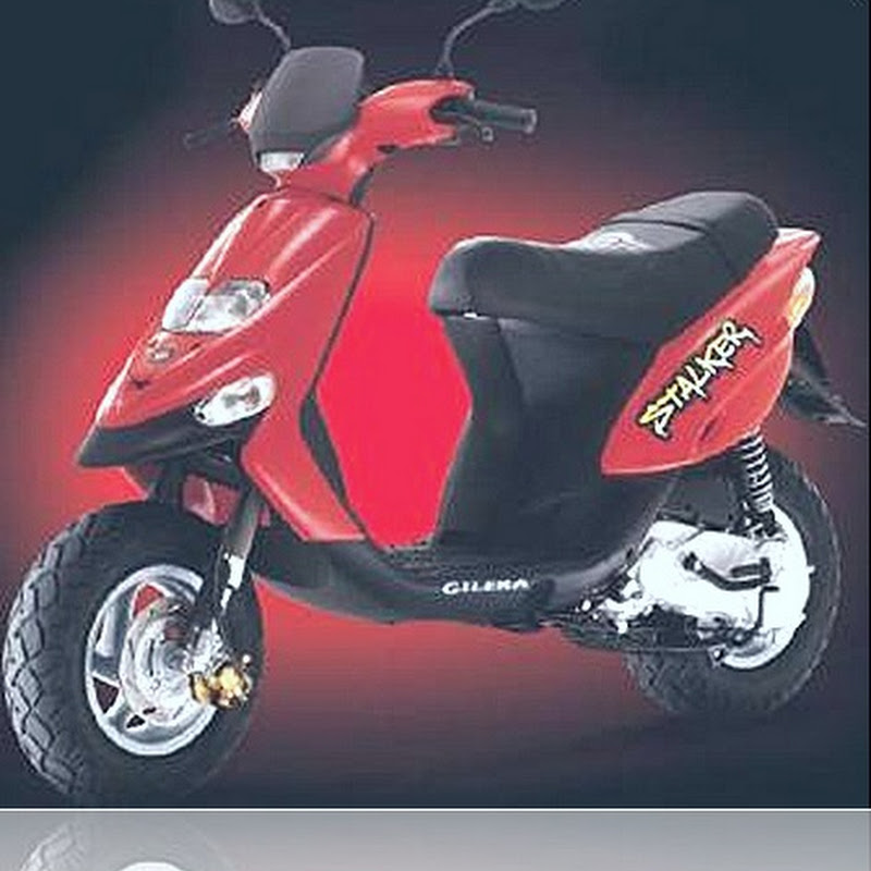 Specification, Interests and Hobbies: Gilera Stalker CC