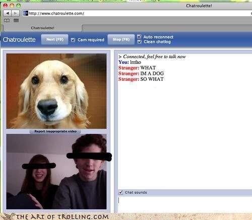 [chatroulette-wtf-insolite-umoor-46[2].jpg]