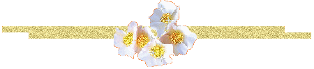 carlaperlin332b61v.png