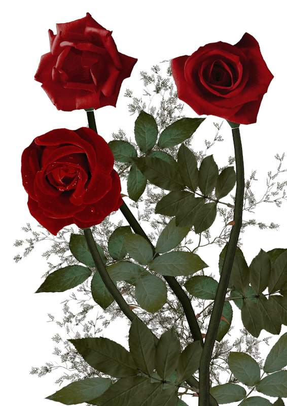 carlaperlin%204edy7.png