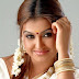 Sona South Hot Actress in Cute Saree