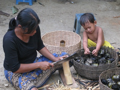 [IMG_61873.jpg]