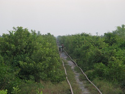 [IMG_62573.jpg]