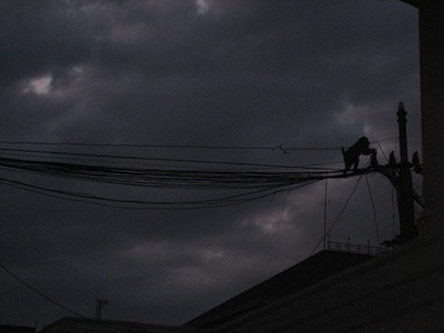 [IMG_88053.jpg]