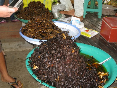 [IMG_49913.jpg]