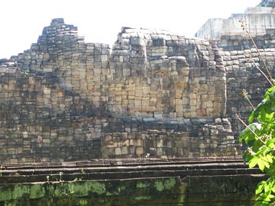 [IMG_54533.jpg]
