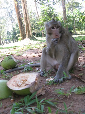 [IMG_55324.jpg]