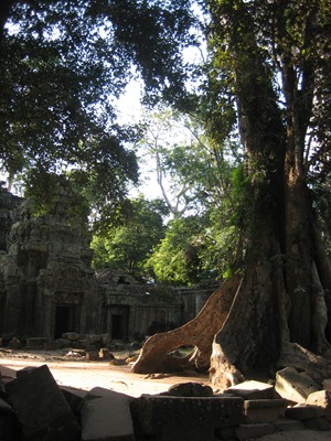 [IMG_90933.jpg]
