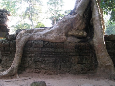 [IMG_55546.jpg]