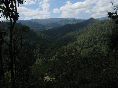 [IMG_66883.jpg]