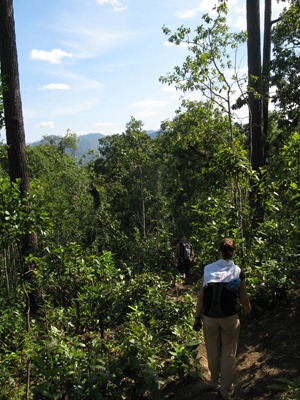 [IMG_66983.jpg]