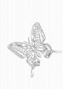 mariposa.jpg