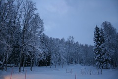 vinterland-2